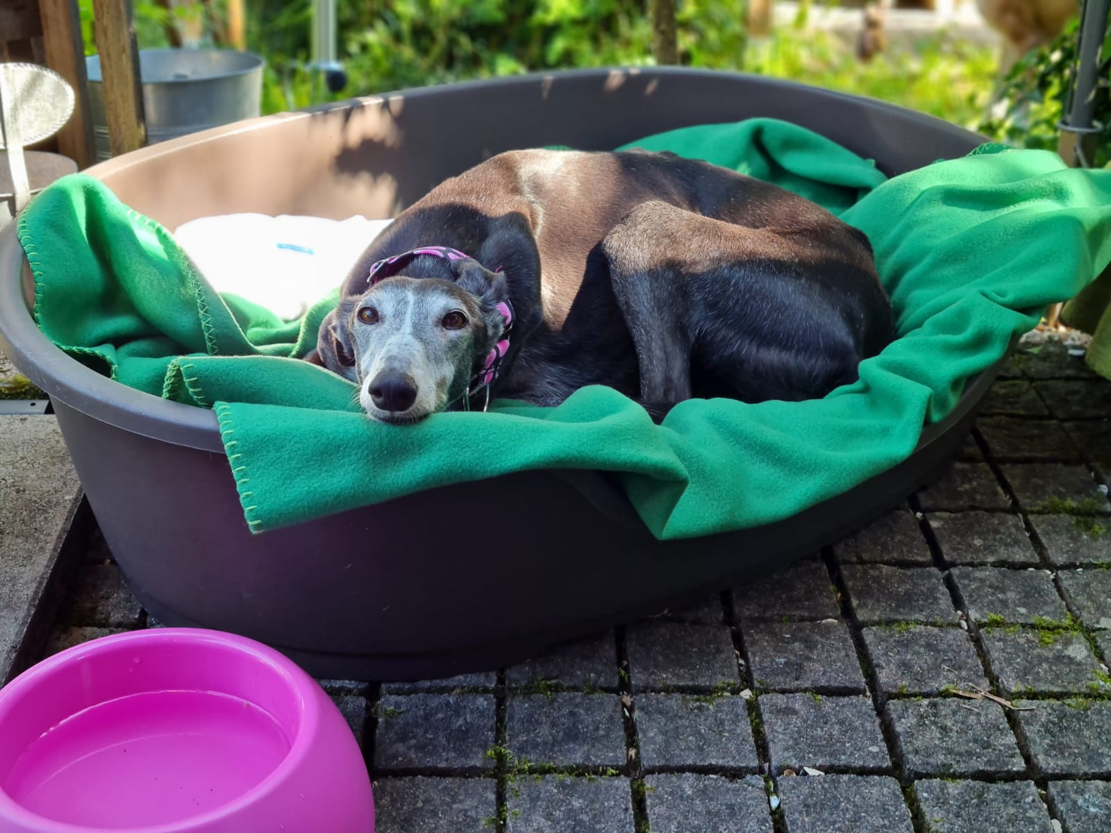 Zwei IWI Schätzchen die sich mögen. 